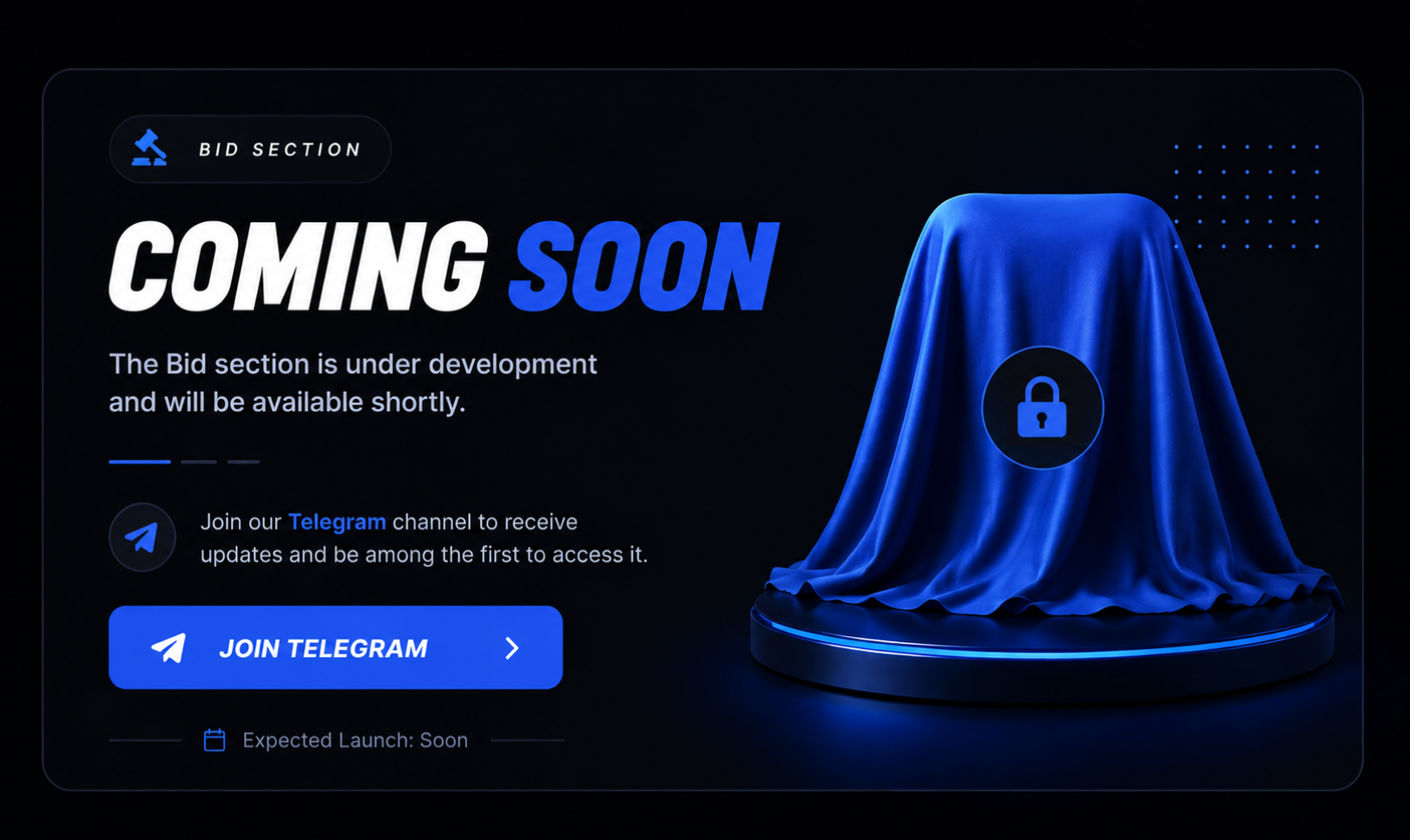 Bid Section Coming Soon
